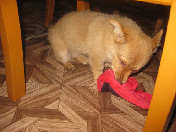 Наталья Лемудкина