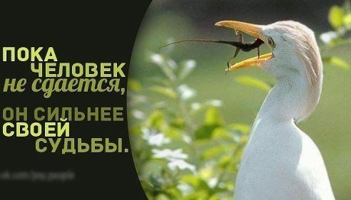 Ирина Гуканова