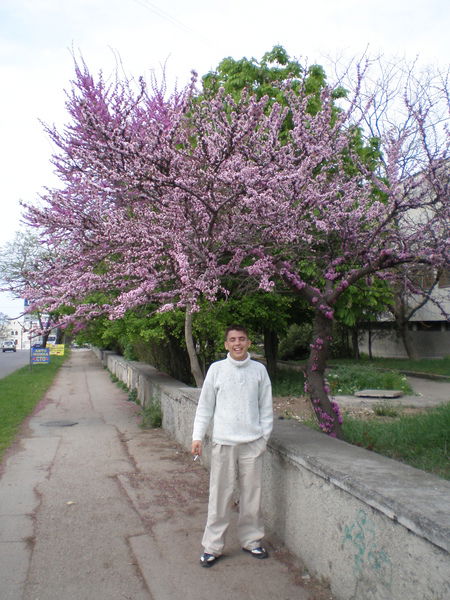 Вячеслав Гришаков