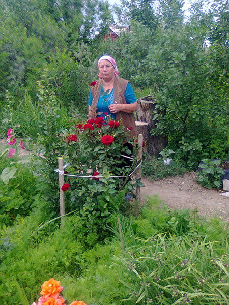 Нина Чулкова