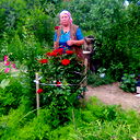 Нина Чулкова