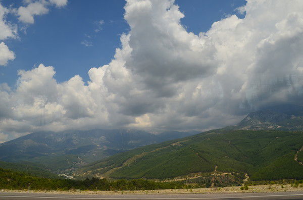 Любовь Сомина