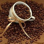 Надежда Доленко