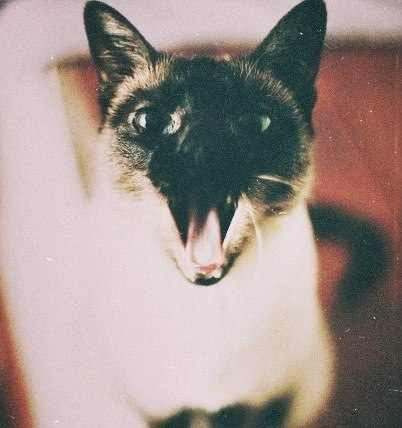 Настя Маркина