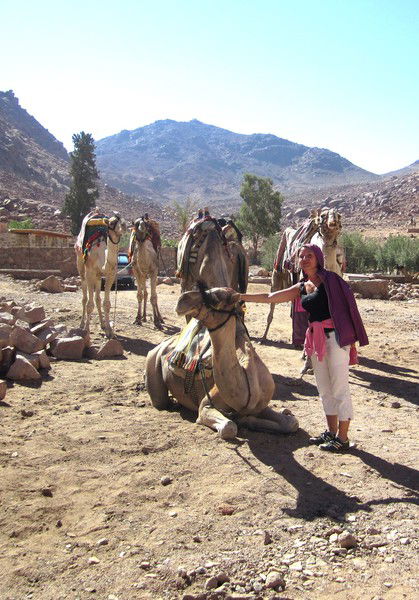 Екатерина Пахолкова