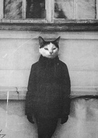 Максим Орлов