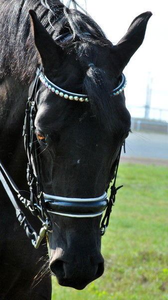 Наталья Ноготкова