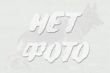 Артур Найдёнов