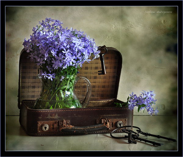 Ольга Ольга