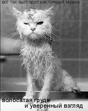 Владимир Сердюк