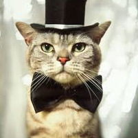 Котик Братик