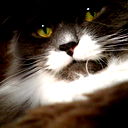 Любовь Корец