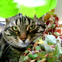 Андрей Куров