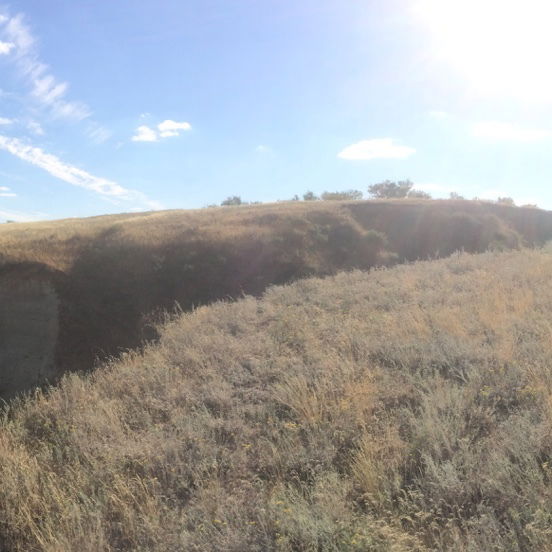 Анатолий Родионов