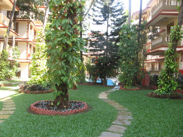 Андрей Велиган