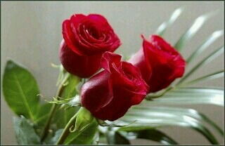 Жансая Ахтаева