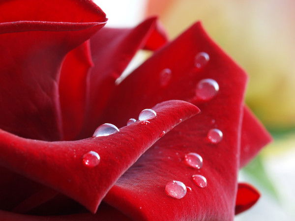 Гульнар Маканова