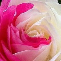 Саида Файзуллина