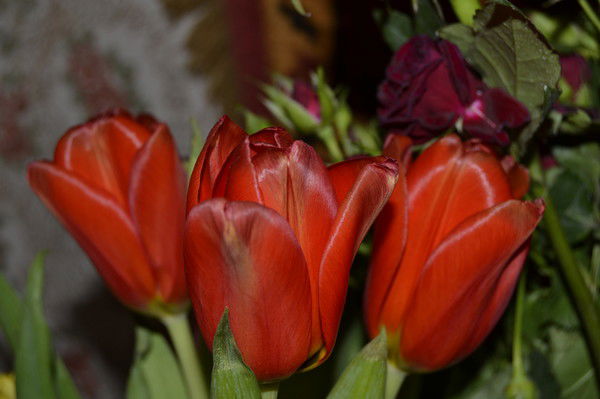 Галина Стрельникова