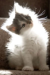 Даша Зиновьева