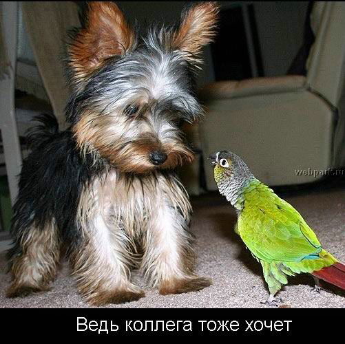 Марина Токарь ( Репина)