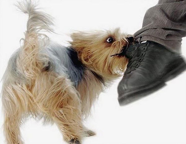 Ирина Михеева