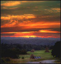 Андрей Михайленко