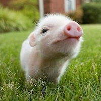 Полина Веренич