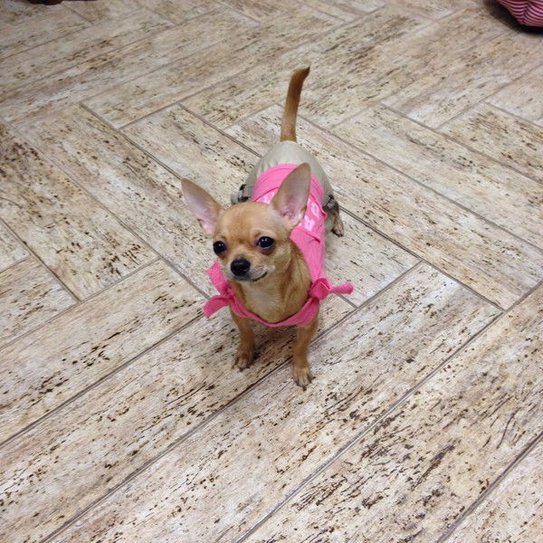 Ольга Табакова