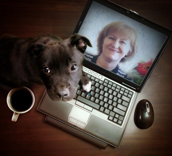 Елена Ребенок