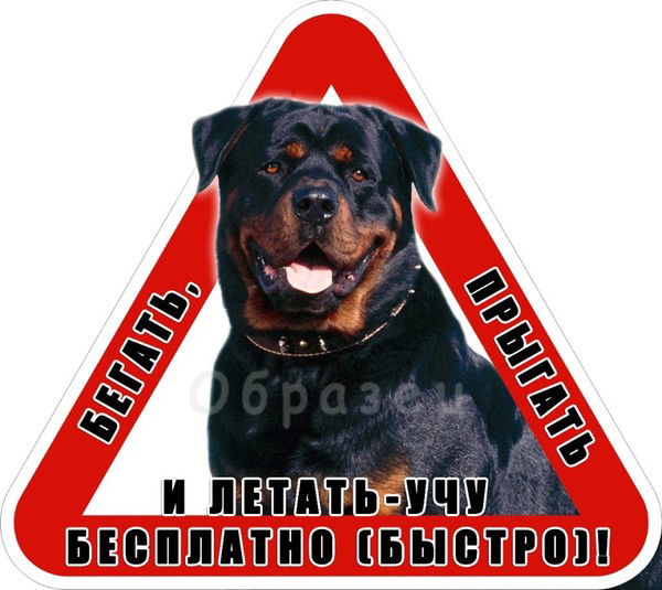 Андрей ???????