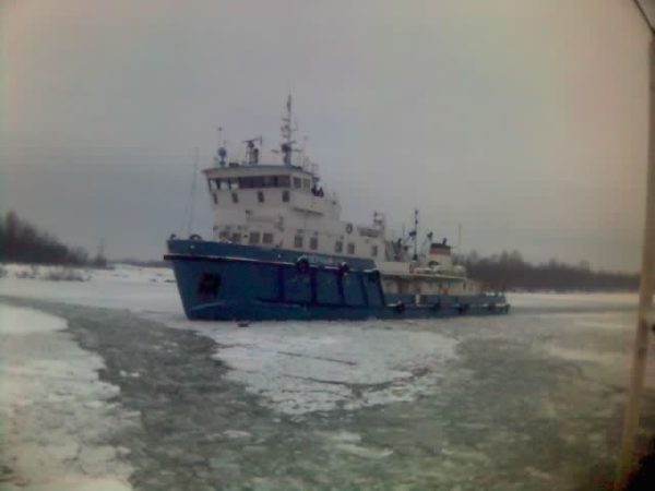 Дмитрий Добрынин