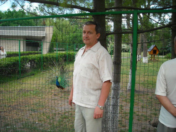 Владислав Мирошниченко