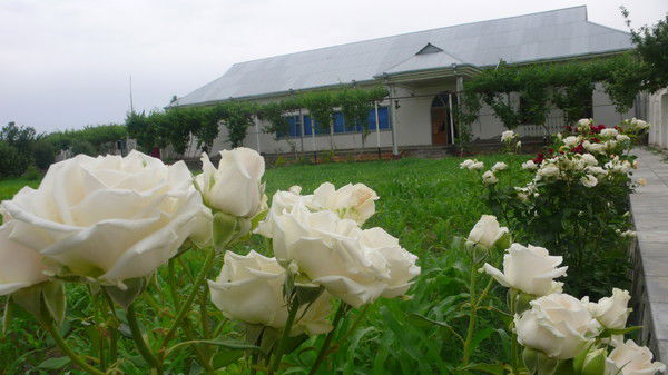 Шокир Косимов