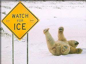 Дмирий Гулин