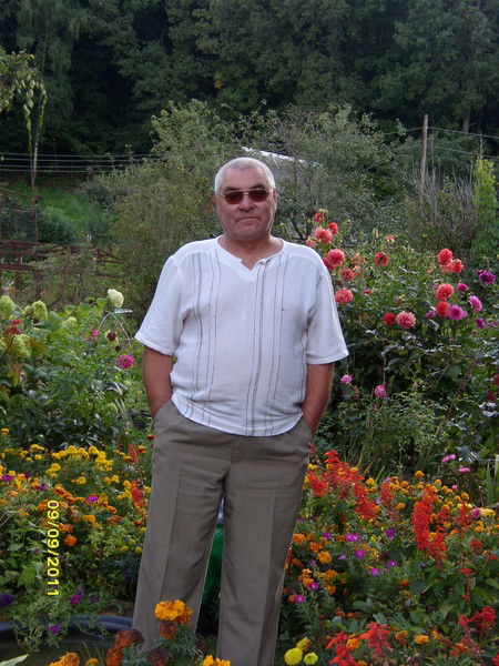 Виктор Нетойлад