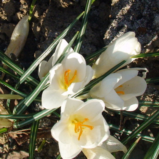 Мария Гейчук