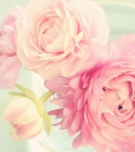 Улбосын Сериккызы