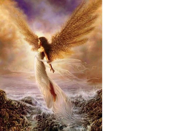 Сальса Риковна