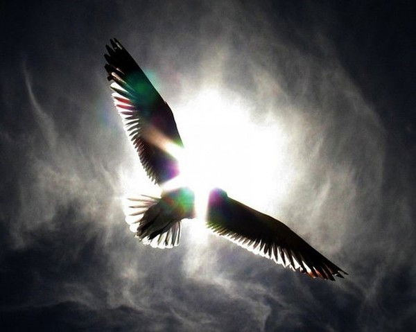 Корепина Екатерина