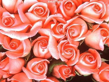 Асель Кошкунова