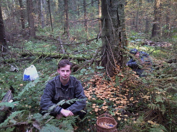 Антон Губин