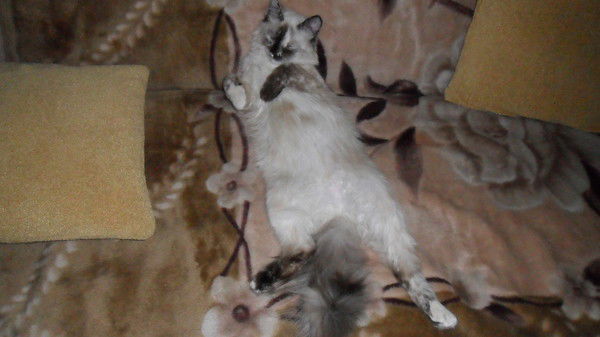 Сергей Захорутин