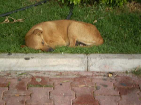 Юрий Финько