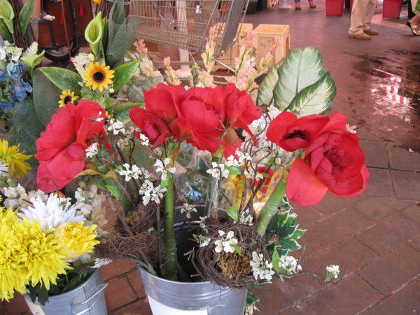 Инна Тимчук