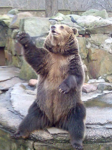 Эдуард Процкий