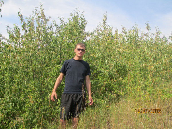 Андрей Дмитриев