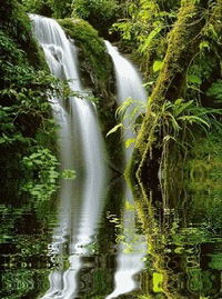 Нуржан Ануарбек