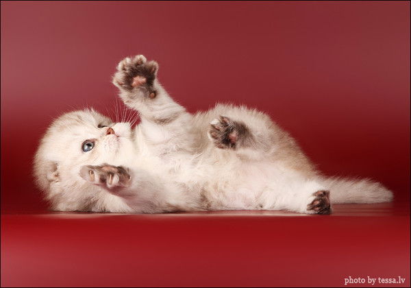 Михаил Гуляев