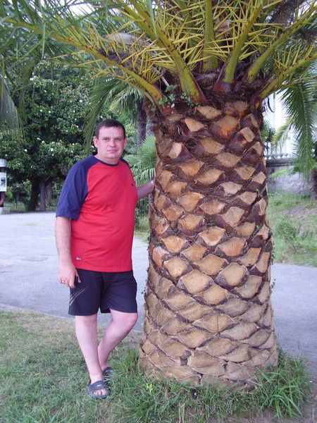 Михаил Сеченин